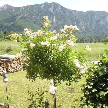 Gaestehaus Barbara Schwaiger