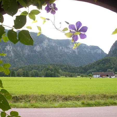 Gaestehaus Barbara Schwaiger *