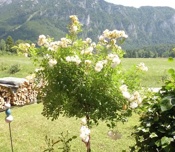 Gaestehaus Barbara Schwaiger - Chiemgau Karte